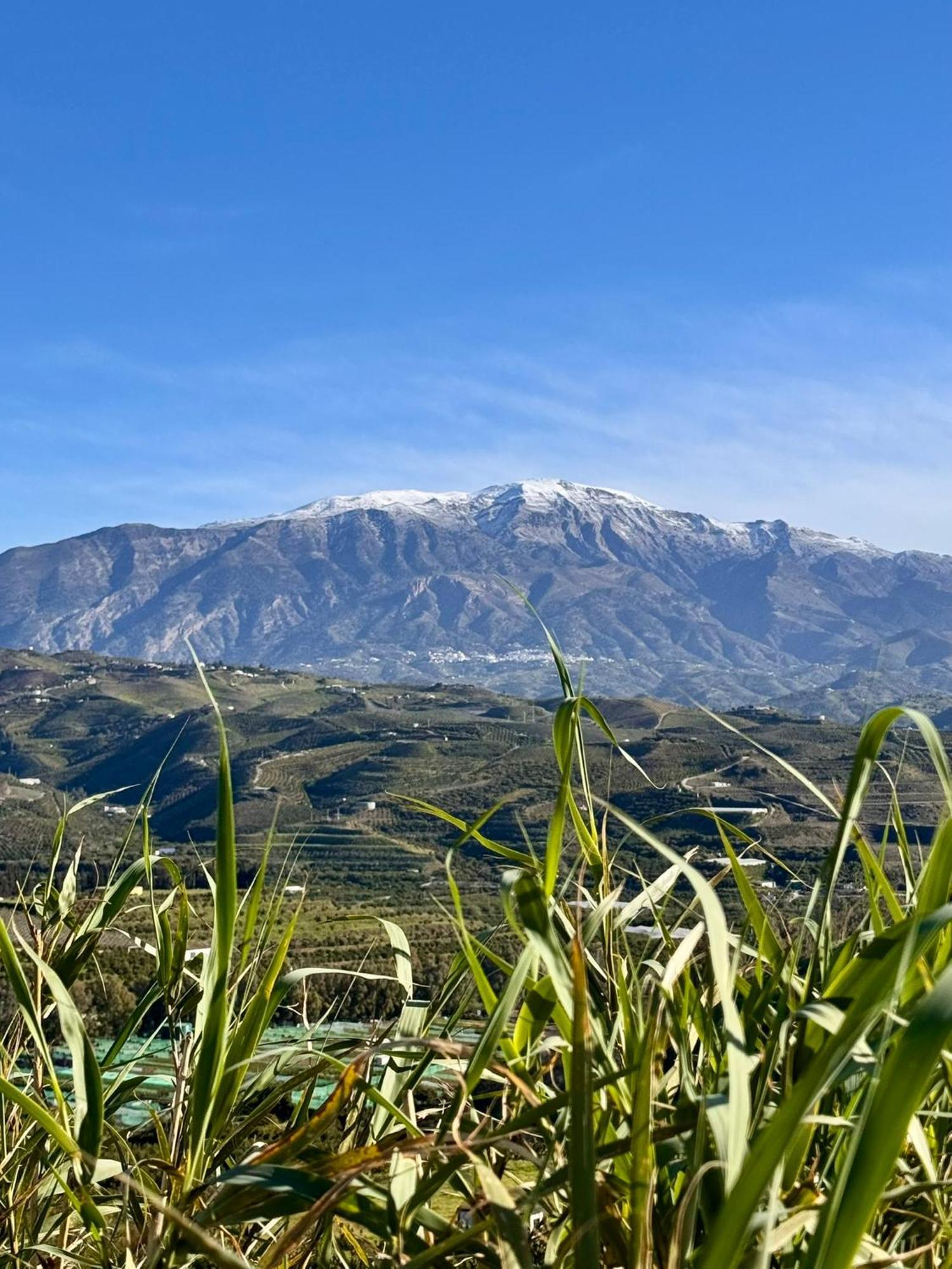 Studio Mountain View