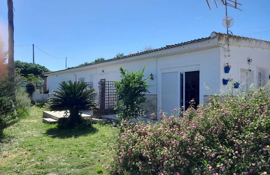 La Rana Azul-1